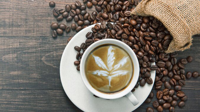 Mais peut-être cherchez-vous une manière d'expérimenter votre café différemment ? J'ai peut-être ce qu'il vous faut : le CBD.