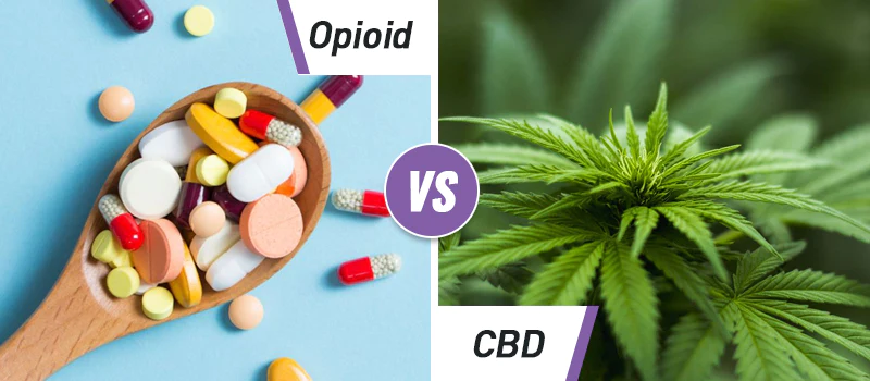 Etude : Le CBD peut-il aider à se sevrer des opioïdes ?