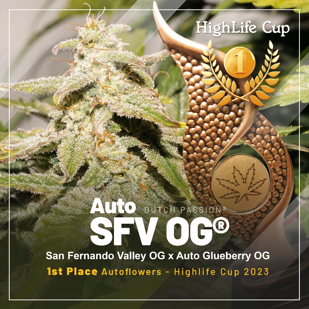 L’Auto SFV OG couronnée meilleure variété de cannabis à autofloraison lors de la HighLife Cup! 