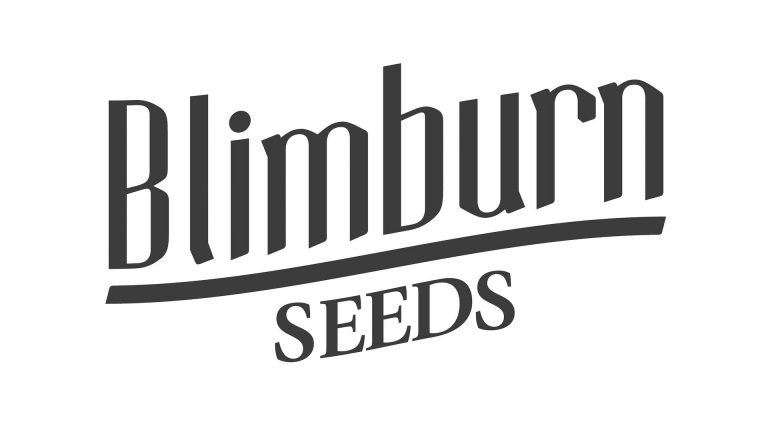 Graines de cannabis Blimburn Seeds